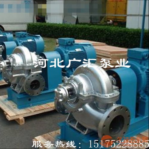 白山250S 39雙吸泵中開式全方位質(zhì)檢流程，助力水務(wù)環(huán)保行業(yè)高效運(yùn)行