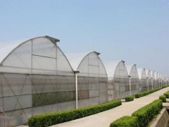 淄博溫室大棚建造 一流價格與專業服務解析