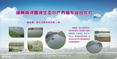 守護(hù)碧水清波 生態(tài)水產(chǎn)養(yǎng)殖專(zhuān)業(yè)合作社的水環(huán)境污染防治服務(wù)