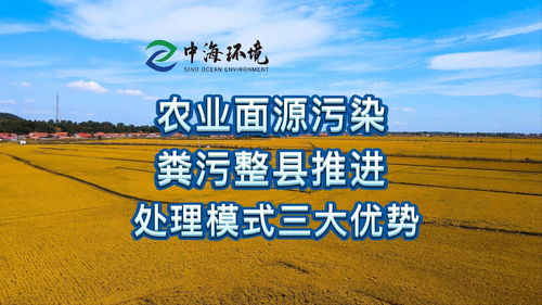 畜禽糞污資源化利用整縣推進(jìn)模式探索與農(nóng)業(yè)面源污染協(xié)同防治