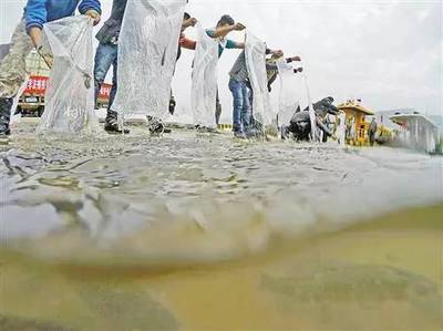 深化水環(huán)境污染防治 守護我市碧水清波
